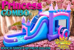 Mega Pink Bounce and Slide (wet or dry)