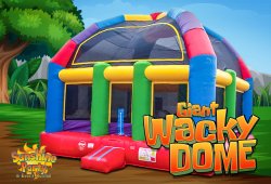 Giant Wacky Dome Bounce House