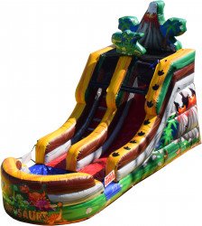 13’ Dino Slide (Wet or Dry)