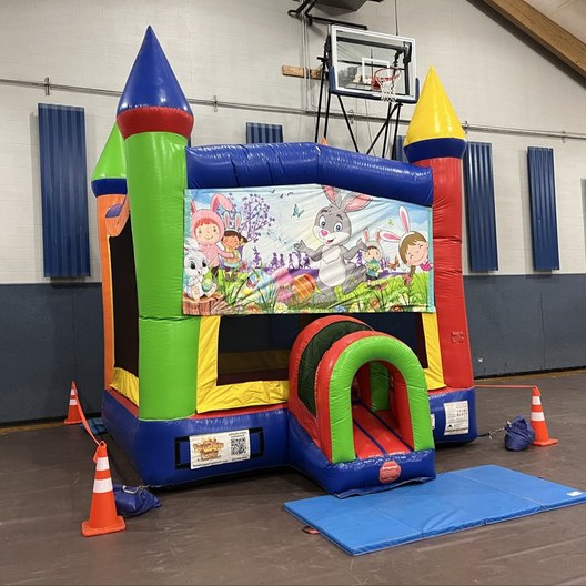 Castle bounce house set up for a birthday